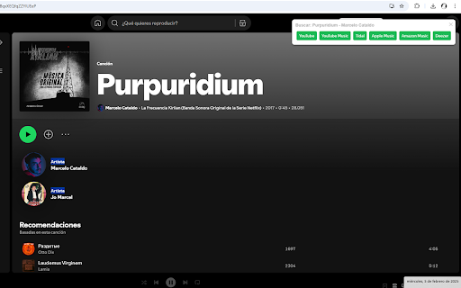 Tubeify: Spotify to YouTube and other platforms redirect :: searches any track from a spotify link in other platforms.