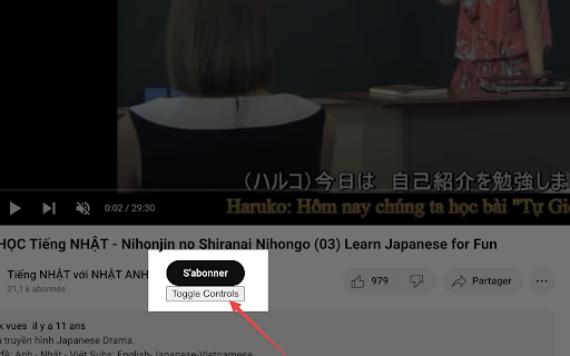 YouTube Toggle Controls :: Toggle YouTube player controls visibility.