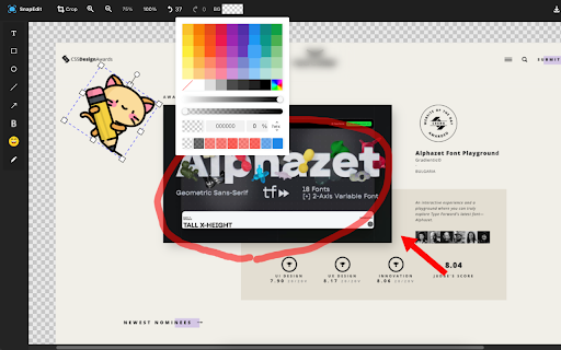 SnapEdit :: Chrome extension to capture full pages or selected visible areas