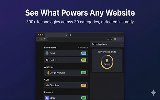 StackRadar - Website Technology Detector :: See every technology behind any website. 300+ techs, 30 categories. 100% local — your data never leaves your browser.
