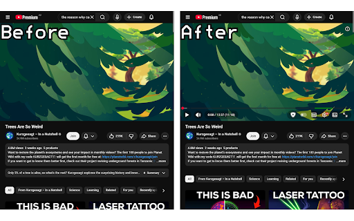 No YouTube AI Summary :: Hides all AI summaries on YouTube.