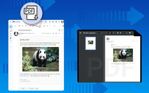 Convert Email to PDF :: Batch convert email to PDF. Save Gmail emails as PDF online. Fast email to PDF converter. No printing needed.