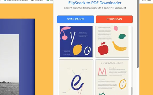 Flipbook to PDF Downloader :: Save Flipsnack, Pubitas, Publuu, FlipbookPDF, PubHTML5 flipbook as PDF document