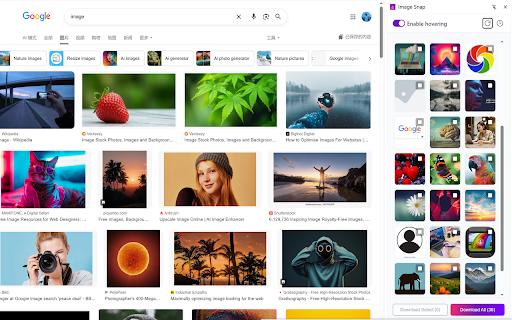 Image Snap :: One-click extract all images from any webpage, hover for instant quick downloads, and auto-save full scraping history for smooth,…