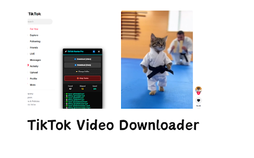 Video Downloader for TikTok - No Watermark :: Bulk download TikTok videos without watermark. Mass export your liked and saved videos with one click.