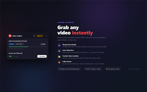 Video Grabber :: Detect and download videos from web pages