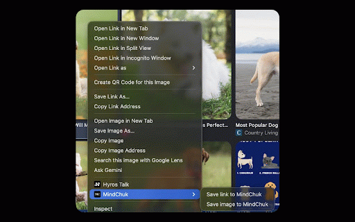 MindChuk :: Save anything to MindChuk instantly.