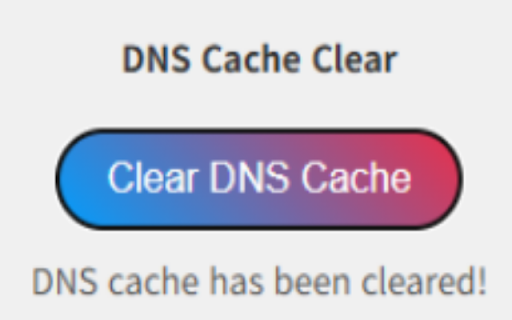 Browser DNS Cache Cleaner :: A simple extension to clear the DNS cache and browsing data.