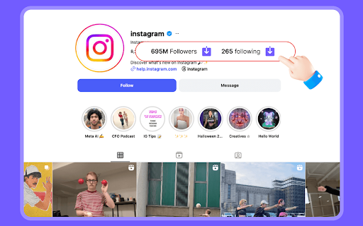 Dolphin Radar-IG Follower Export Tool :: Export Instagram followers and following lists instantly. Download as CSV or Excel — no Instagram login required. Free to try.