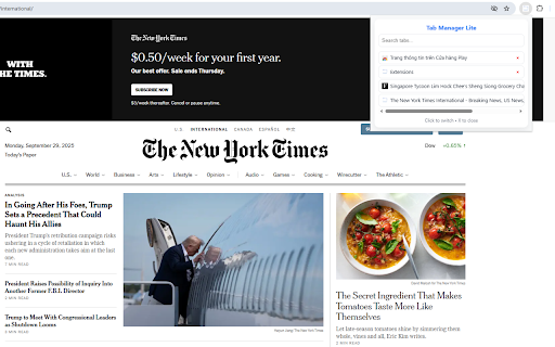 Tab Manager Lite :: Quickly view, search, switch, and close tabs from a simple popup.