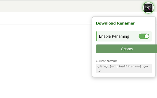 General Download Renamer :: Automatically rename downloaded files based on user-defined patterns