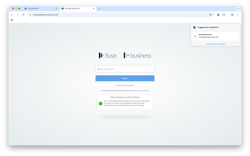 Access Mule Extension :: This is Access Mule Extension. This extension is used to support Access Mule.