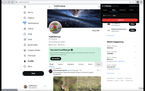X-Cleanup :: Clean up your X account - delete tweets, remove likes, manage bookmarks and follows. No API subscription required.