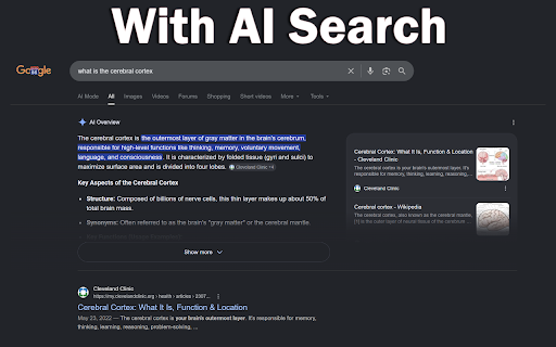 AntiAI - Block AI Overviews :: Immediately removes AI Overviews, Copilot answers, Grok summaries, and all browser AI injections.