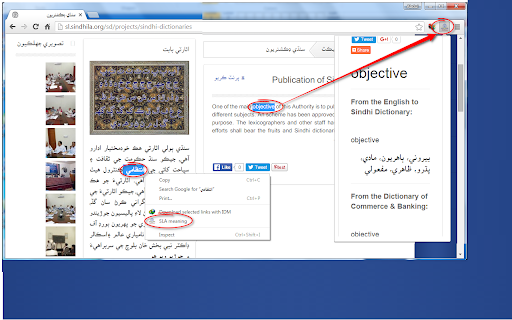 SLA Dictionary :: Select any text on a webpage, right-click and choose SLA Meaning to translate into Sindhi