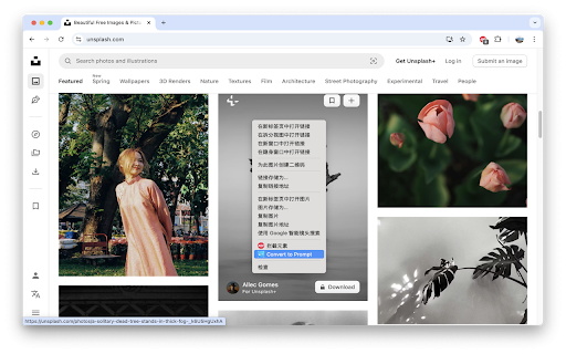 Img2Prompt :: Right-click any image to generate an AI image-generation prompt.