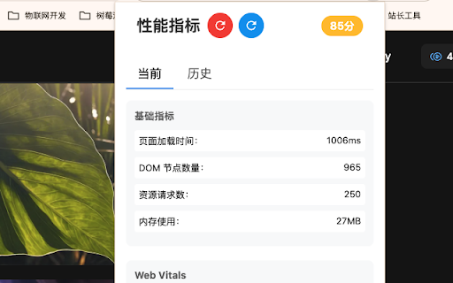 网页性能监测器 :: 监测网页加载性能和资源使用情况