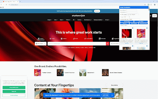 Bulk Image Downloader :: Bulk download, filter and manage images from any webpage.