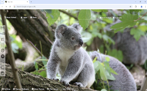 Koala Wallpaper :: Koala wallpaper turn new tab to custom HD Koala background. Cute Koala wallpaper background themes for animal fans.