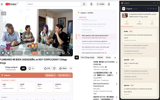 Lingooso :: Learn languages from YouTube videos — practice questions, vocabulary, and summaries