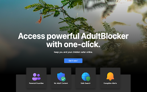 AdultBlocker - Free :: Free Porn Blocker for Chrome