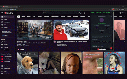 Simple Youtube Customizer :: Customize YouTube colors and logo