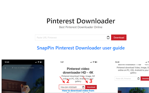 Pinterest Video Downloader :: Download Pinterest videos easily with one click via Pinsave