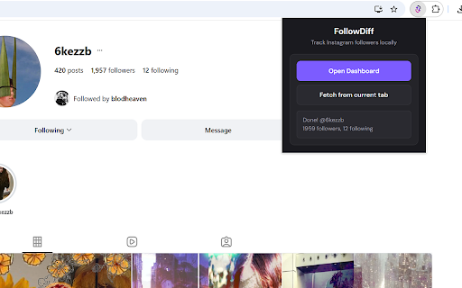 FollowDiff :: Track Instagram follower and following changes locally.