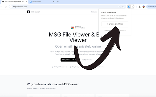 MSG & EML Email Viewer - Outlook & Thunderbird Files :: View Outlook MSG and EML email files with attachments and formatting. Perfect for business and email archiving.