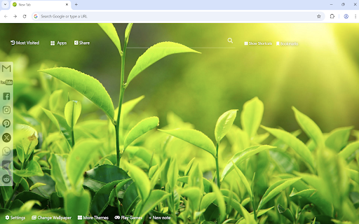 Green Wallpaper :: Green Wallpaper turn new tab to custom HD Green background. Beautiful Green wallpaper background themes for fans.