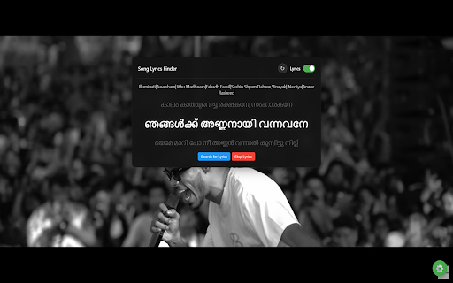 Song Lyrics Finder :: Displays synchronized lyrics on YouTube videos using LRCLIB API