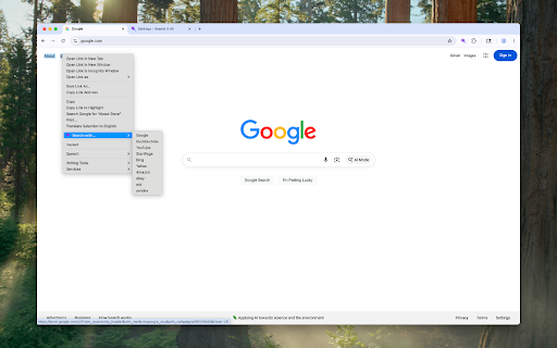 Search It All :: Search across multiple search engines with one click - no retyping needed