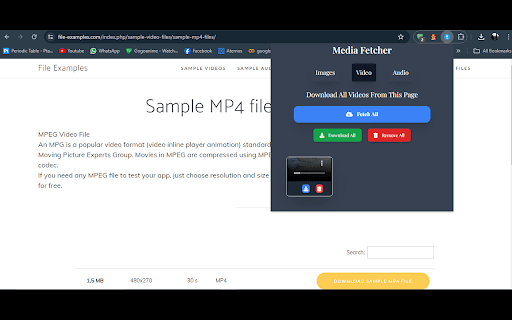 Media Fetcher :: Fetches Images/Videos etc from page