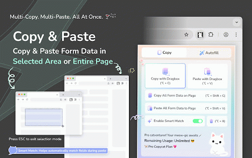 MultiField CopyCat - Copy, Paste & Autofill Forms Instantly :: Copy, paste & autofill multiple form fields instantly. Saves hours on repetitive form filling, data entry & QA testing.