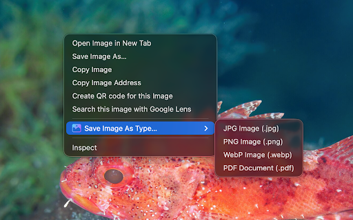 Save Image as Type :: Save Image as Type makes downloading web images in your preferred format quick and easy! Convert any image to JPG, PNG, WebP, or…