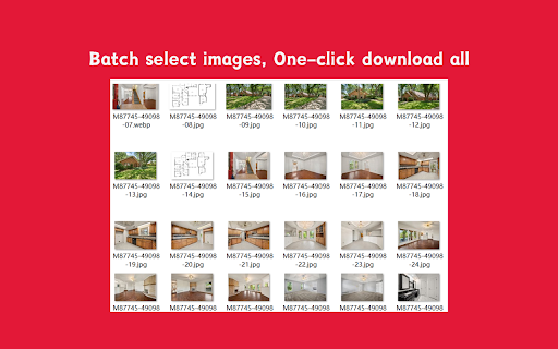 Realtor Image Downloader :: Get all high-resolution images from Realtor property detail pages with one click.