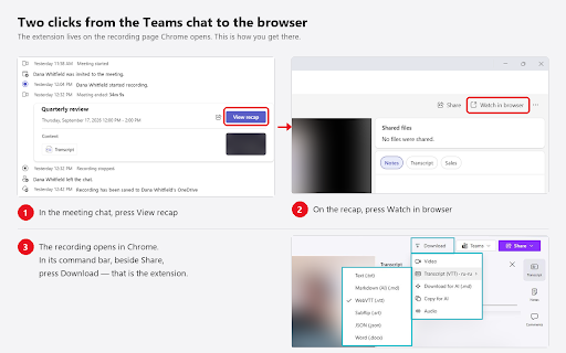Teams Recording & Transcript Downloader :: Save a Teams or Stream meeting recording as video, audio or a transcript with speaker names and timestamps.
