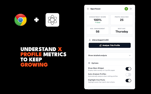 OpenTweet Companion :: Analyze your X (Twitter) posting patterns and optimize your schedule with AI-powered insights