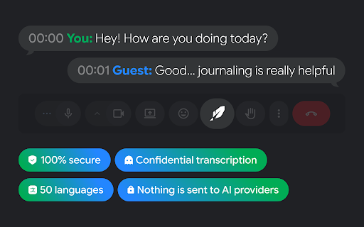 Google Meet Transcript :: Use Google Meet Transcript for secure AI meeting transcription for private calls, therapy session notes, transcribe meeting