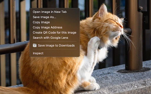 Save Image to Downloads :: Adds a right-click option to instantly download images.