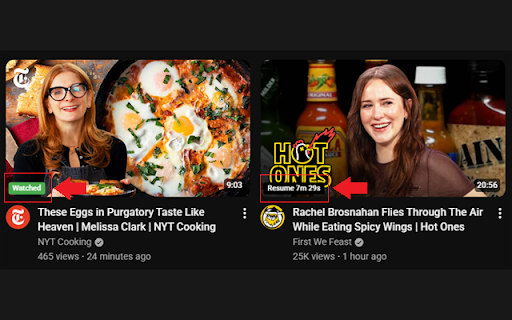 WatchHistory for YouTube™ :: Best for when YouTube watch history is off. Tracks up to 1000 videos locally and lets you resume where you left off.