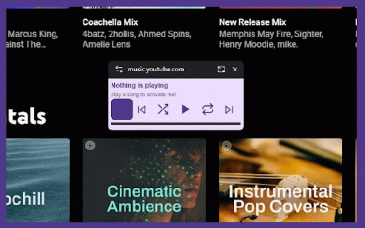 Star's Youtube Music Mini Player :: Picture-in-Picture mini player for YouTube Music