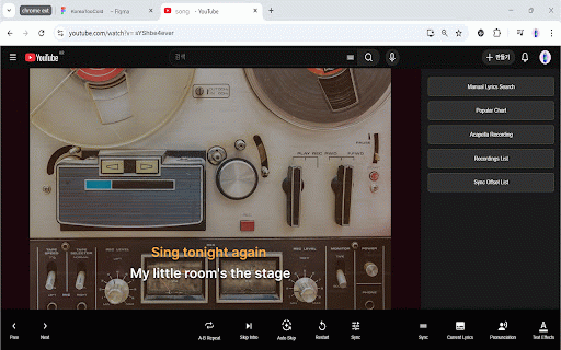 Music Karaoke for YouTube :: Display real-time synced lyrics on YouTube music videos.