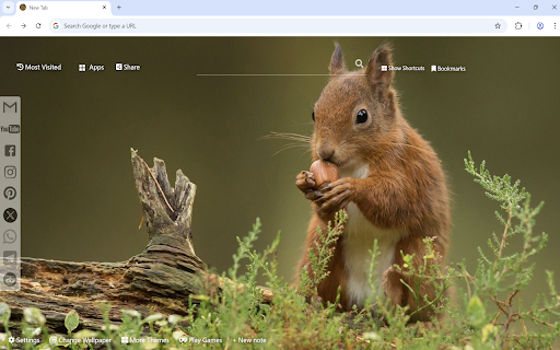 Squirrel Wallpaper :: Squirrel Wallpaper turn new tab to custom Squirrel background. Cute Squirrel wallpaper background theme for animal fans.