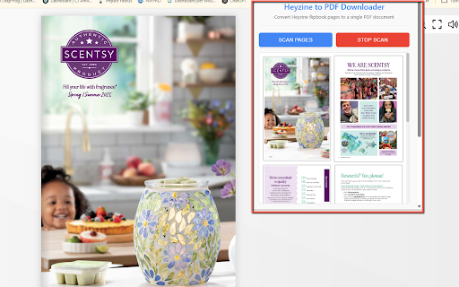 Heyzine Flipbook to PDF Downloader :: Download Heyzine flipbooks as PDF