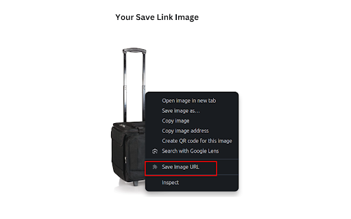 Bulk Save and Rename Images :: Bulk Save image URLs, rename them, and download all images.