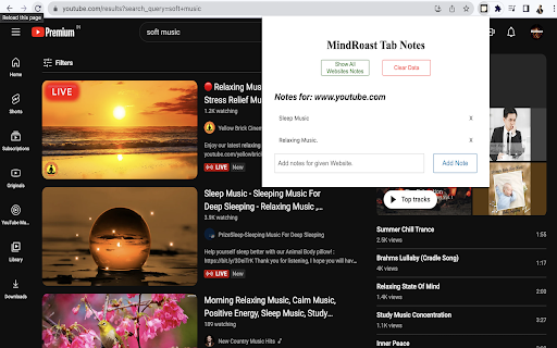 MindRoast Tab Notes :: Extension can provide you with option to keep notes per website.