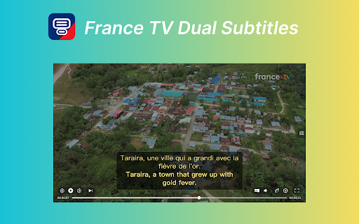 France TV Dual Subtitles :: Watch France TV, TF1+, and RMC+ videos with French and translated subtitles together.