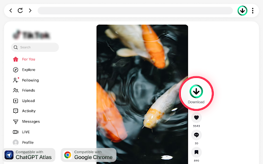 TikTok Video Downloader – Save Without Watermark :: Download TikTok videos in one click, no watermark, no extra apps, just fast and simple TikTok downloads. Get the Saver now