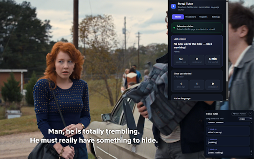 Streal - Learn a Language on Netflix :: Turn Netflix into a personalized language course with smart subtitles.